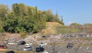 フェアフィールドバイマリオット清流里山公園駐車場の桜
