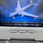 デルタスカイマイルで大韓航空利用　KQ（ケニア航空）のステータス使えました