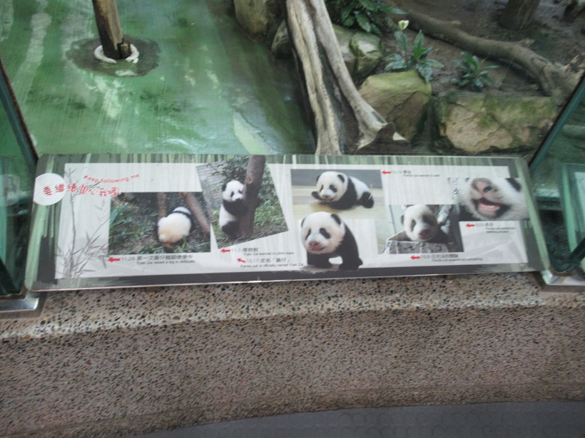 台北市立動物園パンダ館