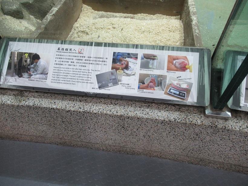 台北市立動物園パンダ館