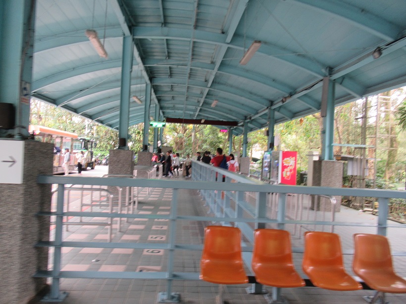 台北市立動物園の園内シャトル乗り方