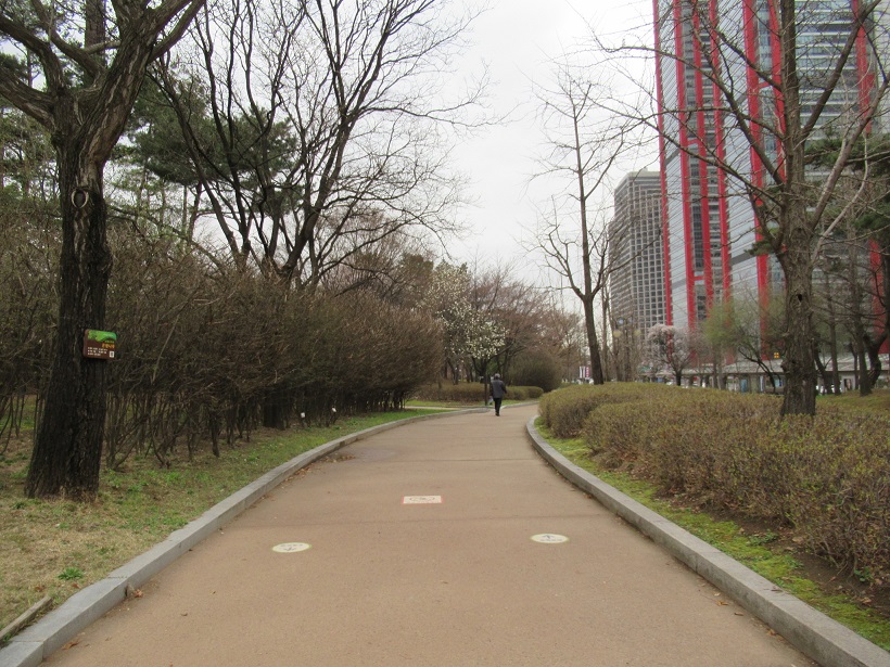 春の汝矣島公園コンラッドソウル